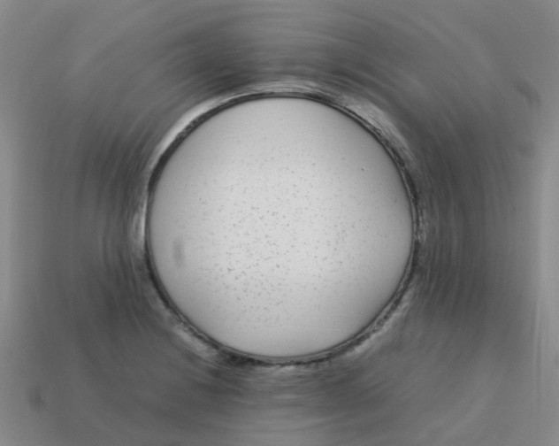 X0000113561228200910161449