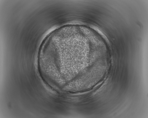 X0000113561229200910161449