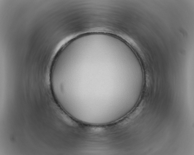 X0000113561230200910161449