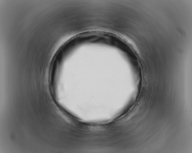 X0000113561231200910161449
