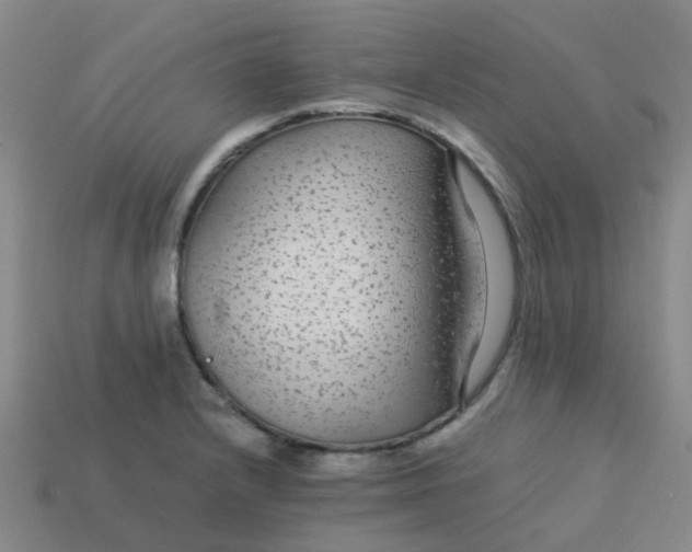X0000113561232200910161449