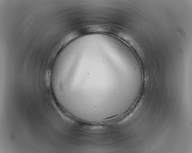X0000113561233200910161449