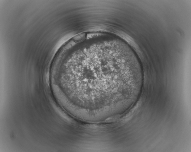 X0000113561234200910161449