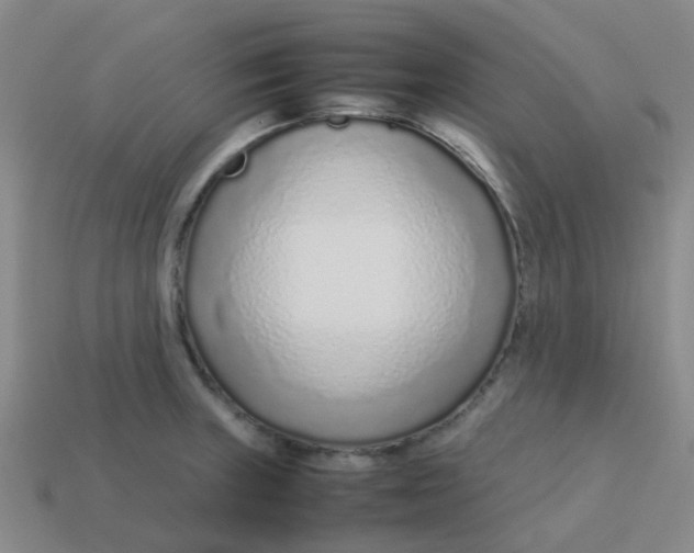 X0000113561235200910161449