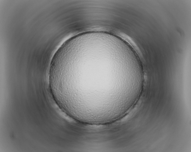 X0000113561236200910161449