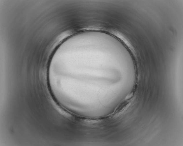 X0000113561237200910161449