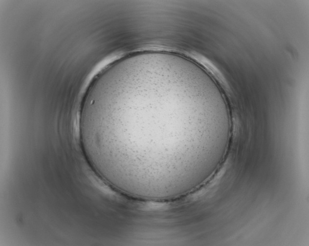 X0000113561238200910161449