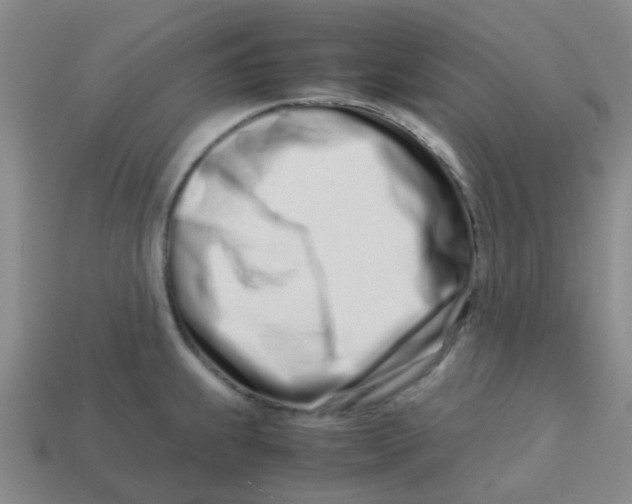 X0000113561239200910161449