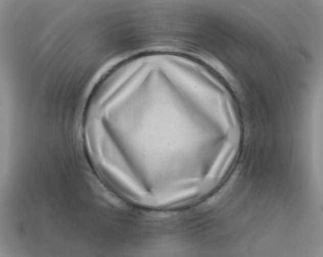 X0000113561240200910161449