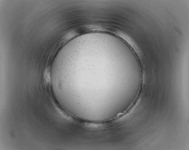 X0000113561241200910161449