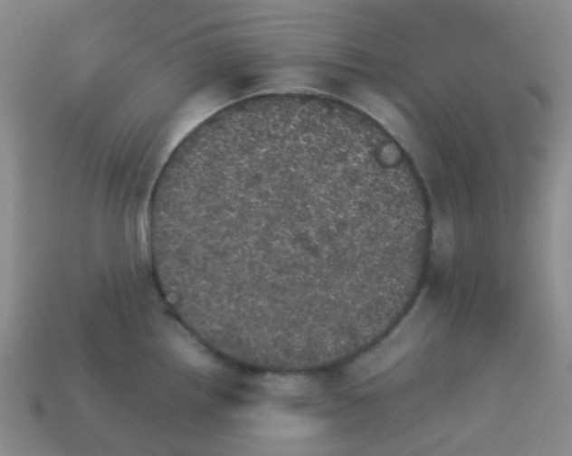 X0000113561242200910161449