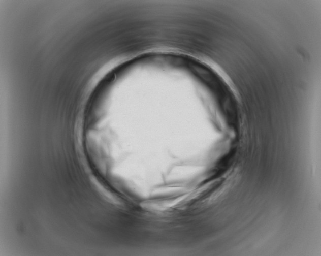 X0000113561245200910161449