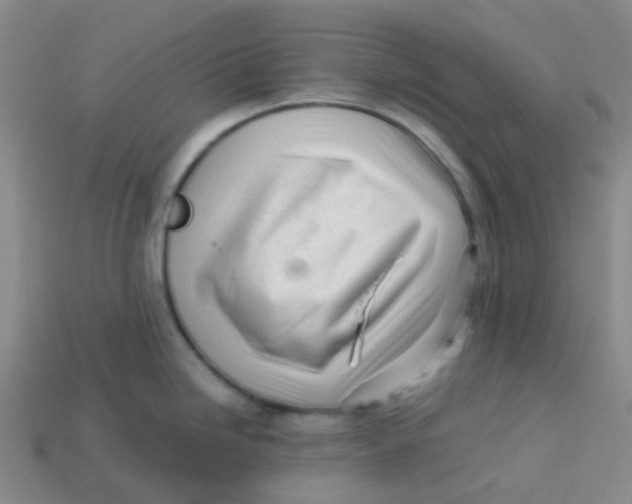 X0000113561246200910161449
