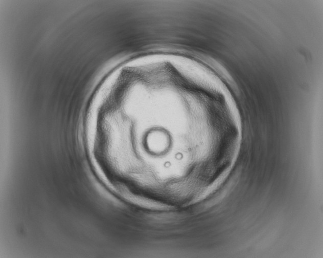 X0000113561247200910161449