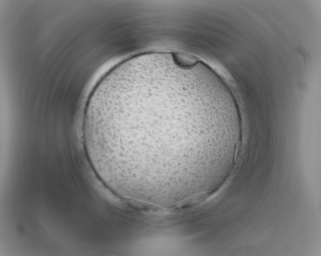 X0000113561248200910161449