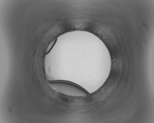 X0000113561249200910161449