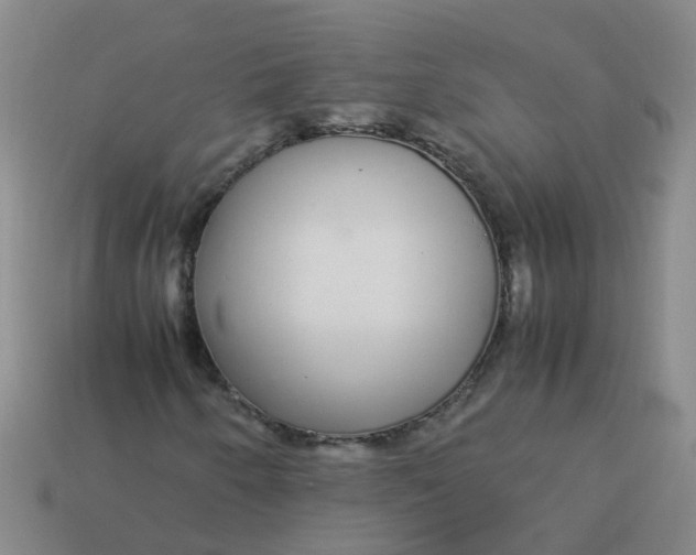 X0000113561250200910161449