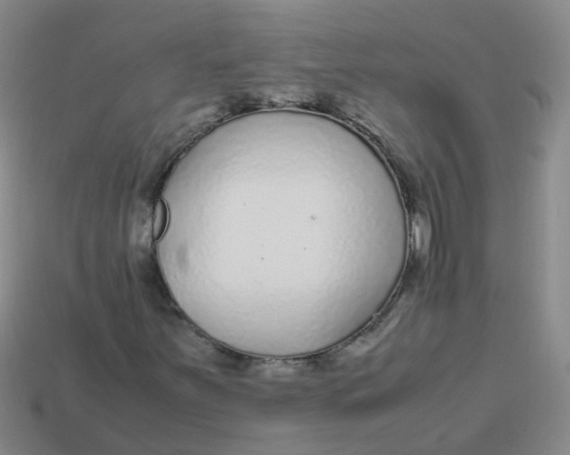 X0000113561251200910161449