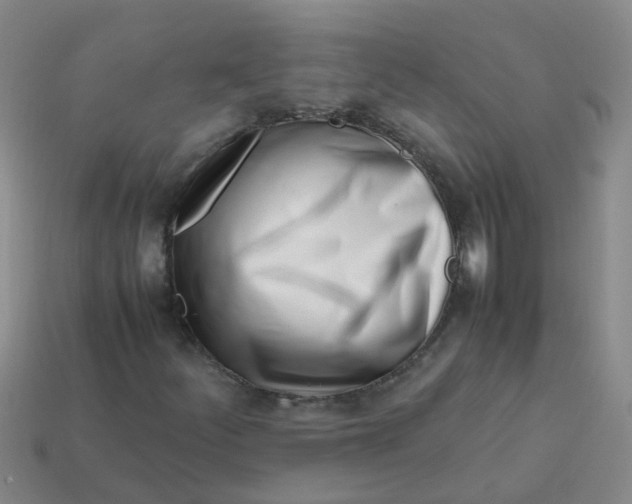 X0000113561252200910161449