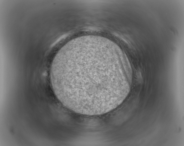X0000113561254200910161449