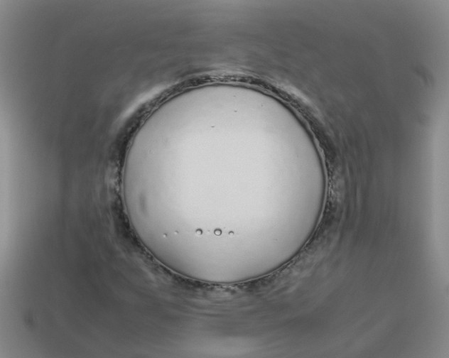 X0000113561255200910161449