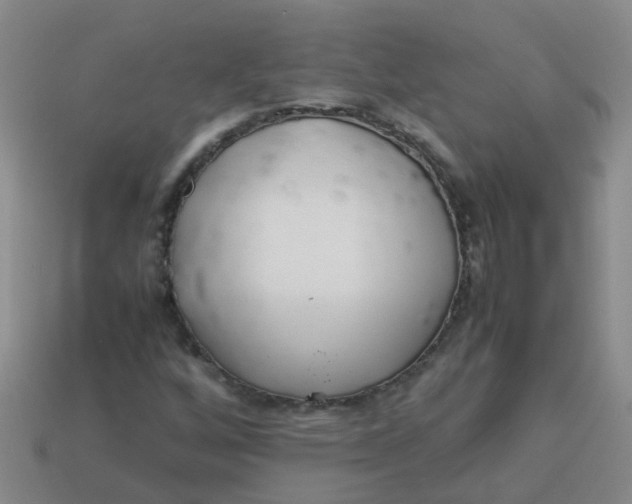 X0000113561256200910161449
