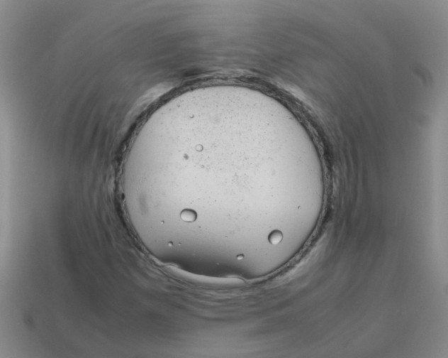 X0000113561257200910161449