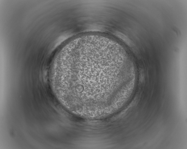 X0000113561258200910161449