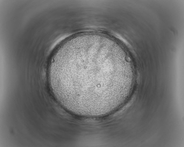 X0000113561259200910161449