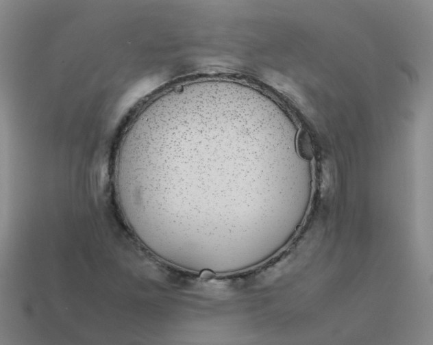 X0000113561261200910161449