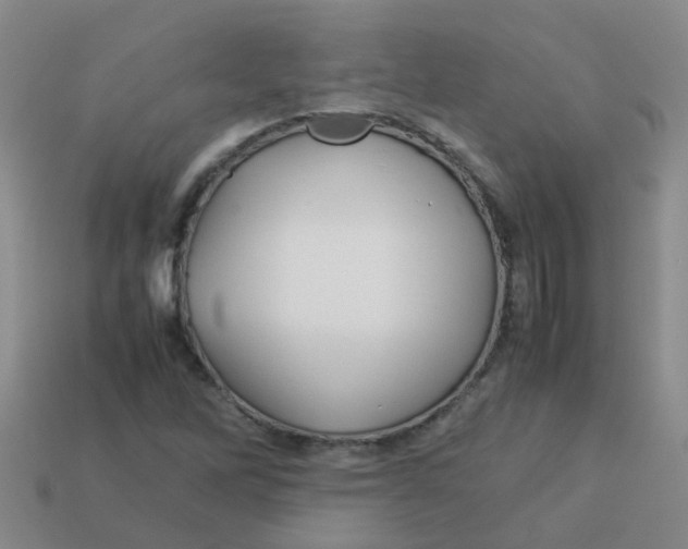 X0000113561262200910161449