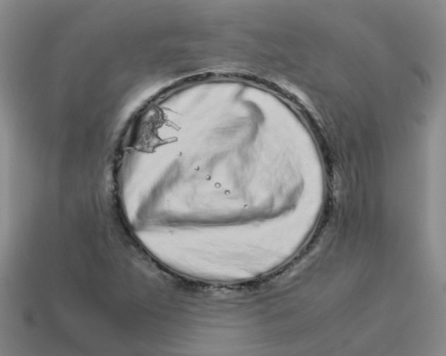 X0000113561263200910161449