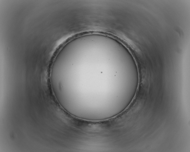 X0000113561264200910161449