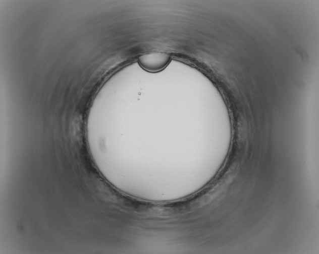 X0000113561265200910161448
