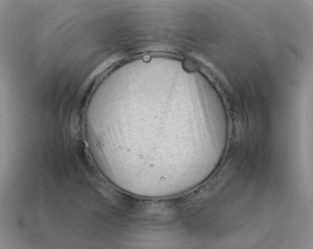X0000113561266200910161448