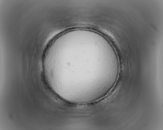 X0000113561267200910161448
