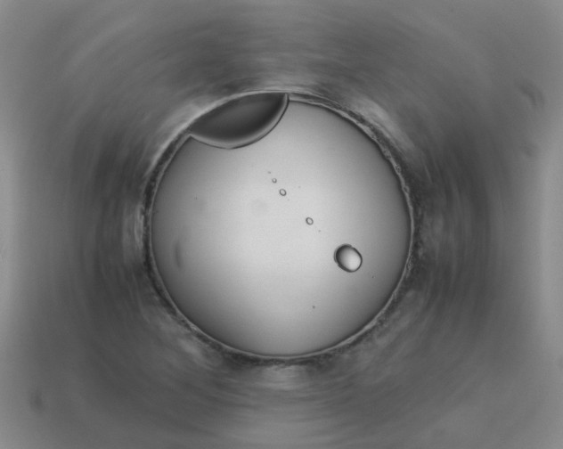 X0000113561268200910161448