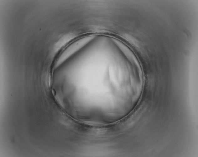 X0000113561269200910161448