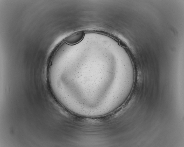 X0000113561270200910161448