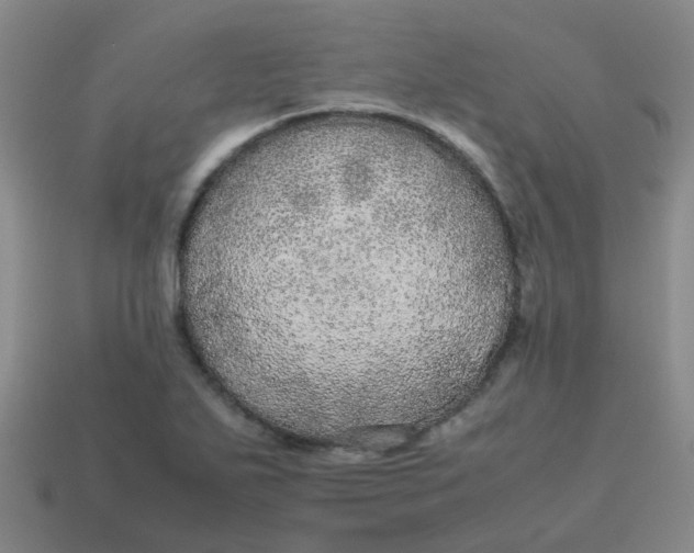 X0000113561271200910161448