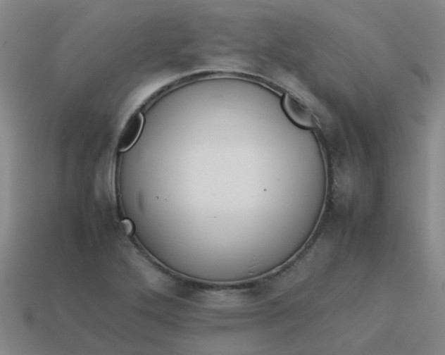 X0000113561272200910161448