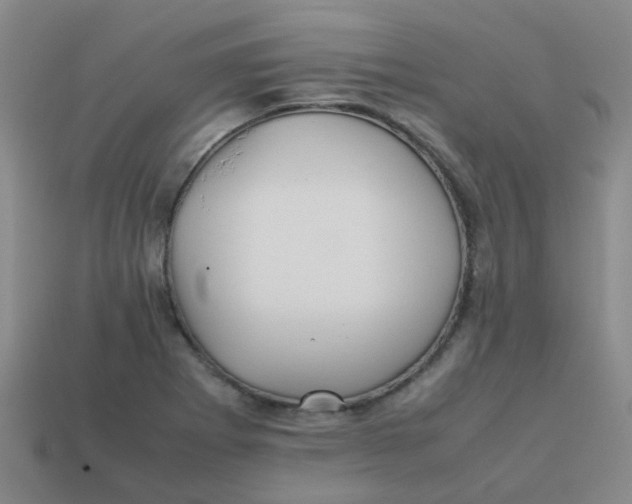 X0000113561273200910161448
