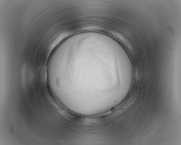 X0000113561274200910161448