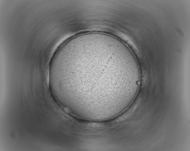 X0000113561275200910161448
