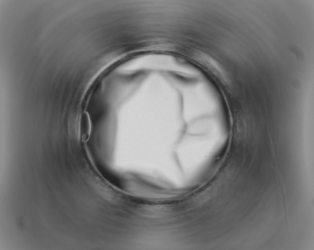 X0000113561276200910161448