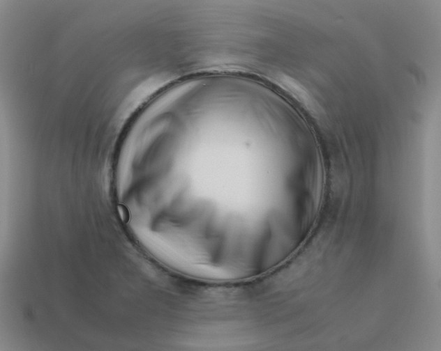 X0000113561277200910161448
