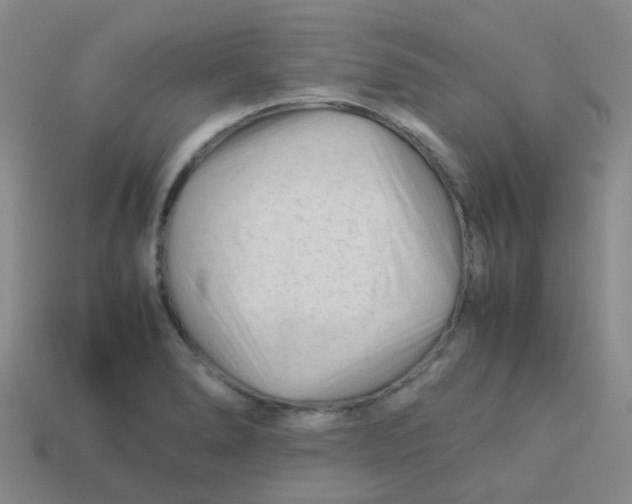 X0000113561278200910161448