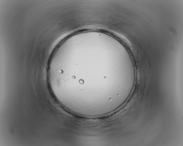 X0000113561279200910161448