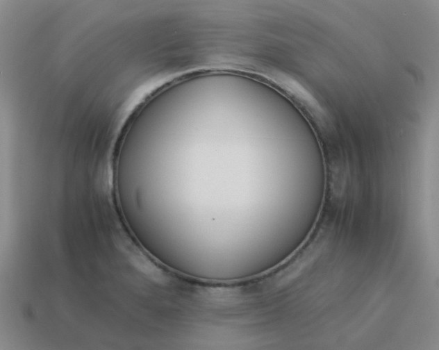 X0000113561280200910161448