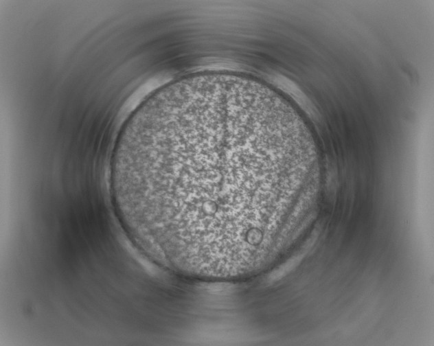 X0000113561282200910161448